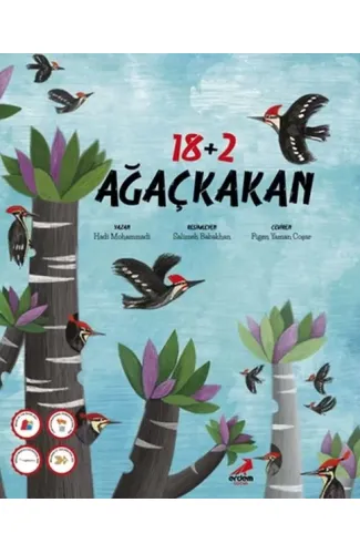 18+2 Ağaçkakan
