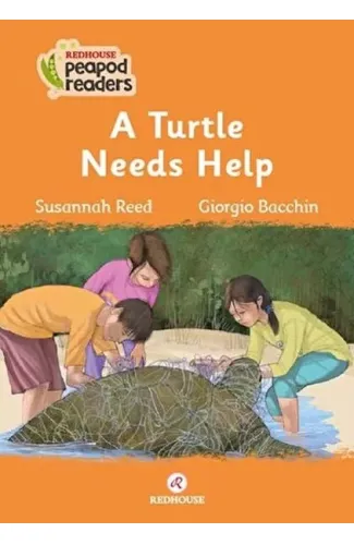 A Turtle Needs Help
