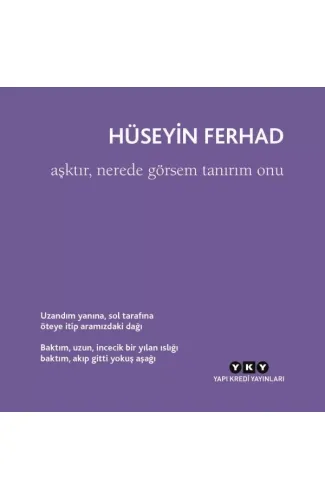 Aşktır, Nerede Görsem Tanırım Onu