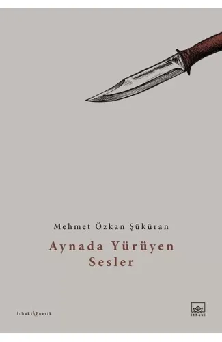 Aynada Yürüyen Sesler