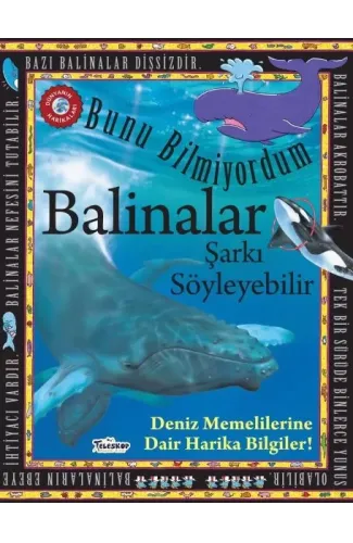 Balinalar Şarkı Söyleyebilir - Bunu Bilmiyordum - Deniz Memelilerine Dair Harika Bilgiler!