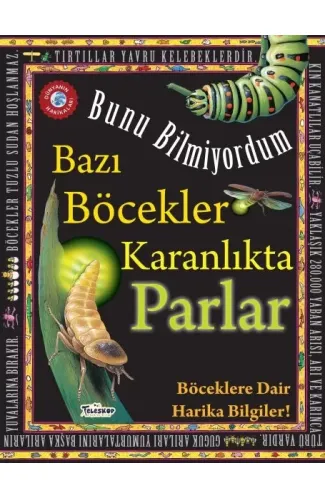 Bazı Böcekler Karanlıkta Parlar - Bunu Bilmiyordum - Böceklere Dair Harika Bilgiler!