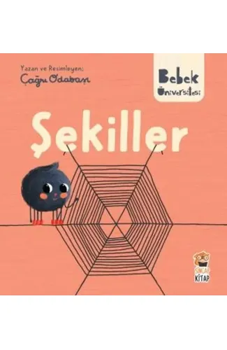 Bebek Üniversitesi - Şekiller
