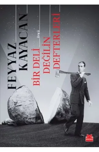 Bir Deli Değilin Defterleri