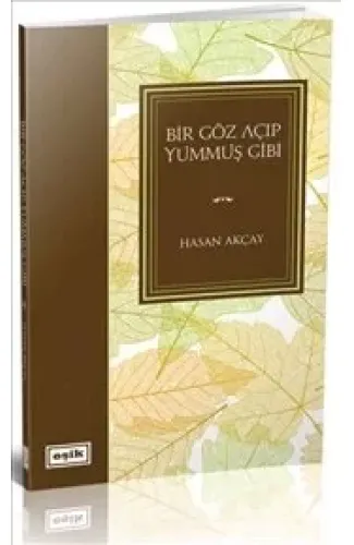 Bir Göz Açıp Yummuş Gibi