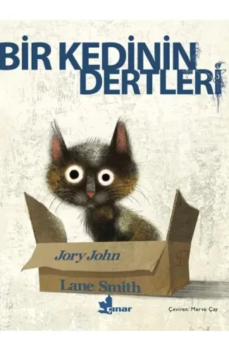 Bir Kedinin Dertleri