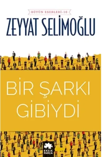 Bir Şarkı Gibiydi