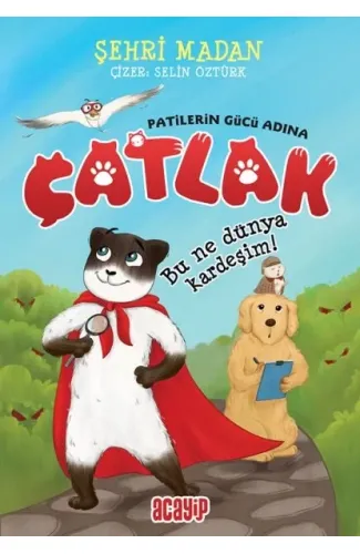 Bu Ne Dünya Kardeşim! - Çatlak - Patilerin Gücü Adına