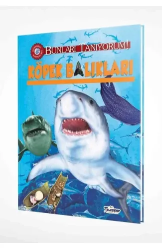 Bunları Tanıyorum! - Köpek Balıkları