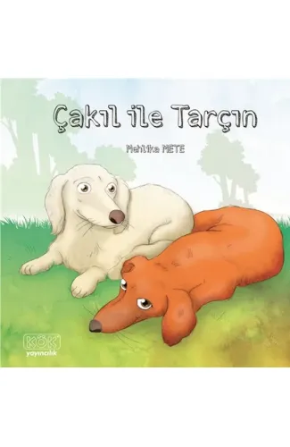 Çakıl ile Tarçın