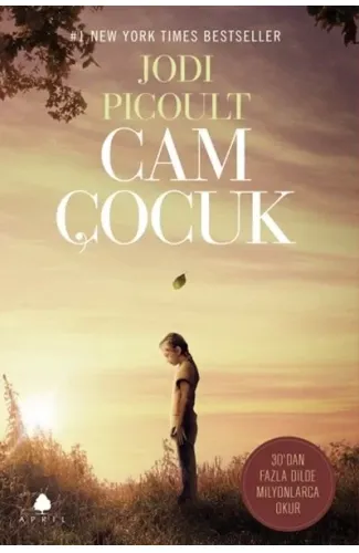 Cam Çocuk