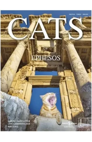 Cats of Ephesos