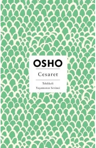 Cesaret - Tehlikeli Yaşamanın Sevinci