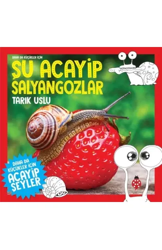 Daha Küçükler İçin Şu Acayip Salyangozlar