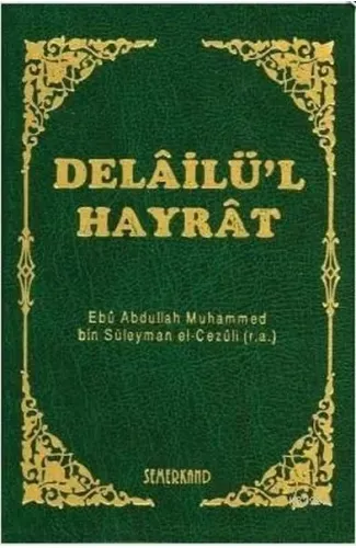 Delailü'l Hayrat (Mini Boy-Kılıflı)