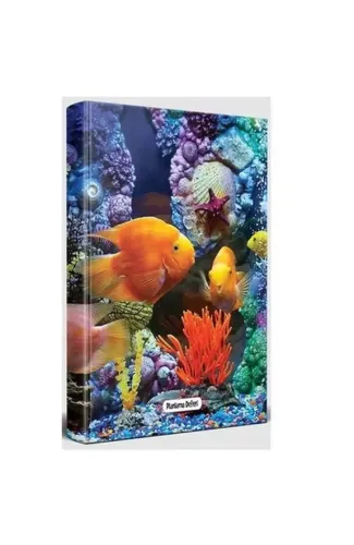 Deniz Sakinleri - Planlama Defteri