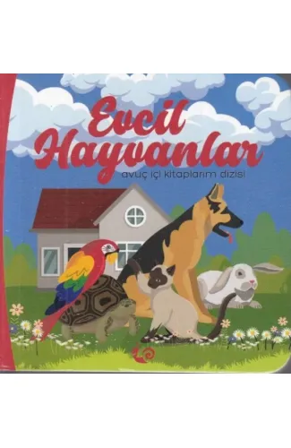 Evcil Hayvanlar - Avuç İçi Kitaplarım Dizisi