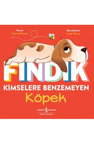 Fındık Kimselere Benzemeyen Köpek
