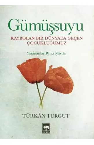 Gümüşsuyu