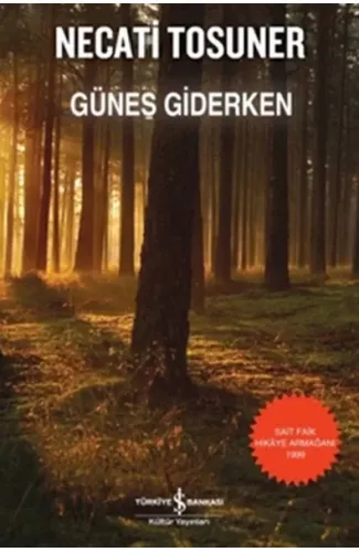Güneş Giderken