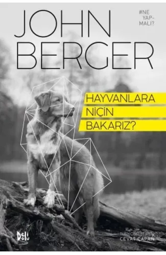 Hayvanlara Niçin Bakarız?