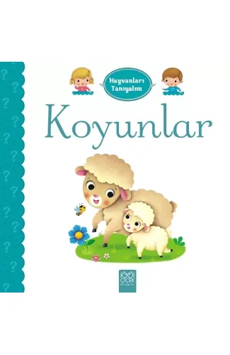 Hayvanları Tanıyalım  - Koyunlar