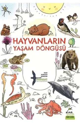 Hayvanların Yaşam Döngüsü