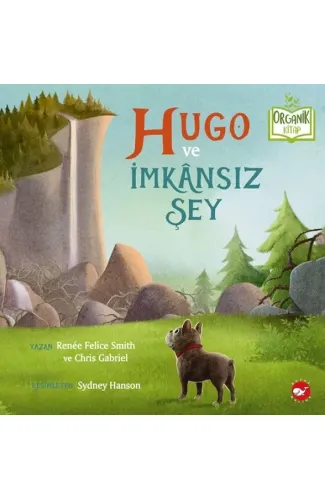 Hugo ve İmkânsız Şey - Organik Kitaplar