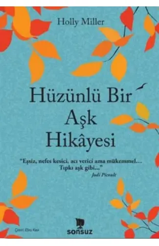 Hüzünlü Bir Aşk Hikâyesi