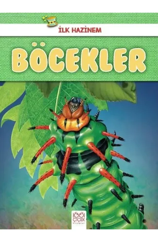 İlk Hazinem - Böcekler