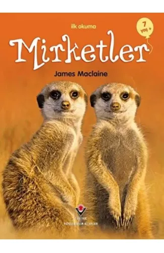 İlk Okuma - Mirketler