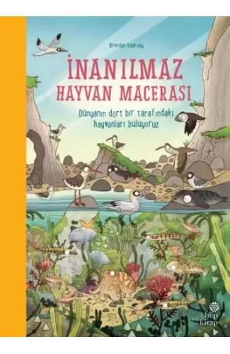 İnanılmaz Hayvan Macerası (Ciltli)