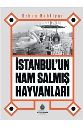 İstanbul’un Nam Salmış Hayvanları