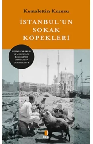 İstanbul’un Sokak Köpekleri