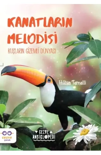 Kanatların Melodisi - Kuşların Gizemli Dünyası