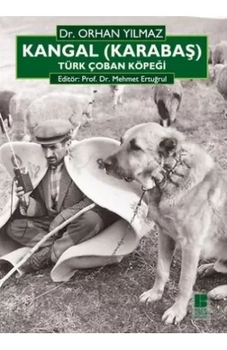 Kangal (Karabaş) Türk Çoban Köpeği
