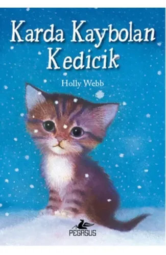 Karda Kaybolan Kedicik