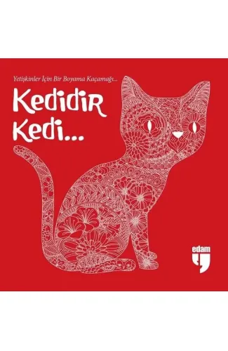 Kedidir Kedi...