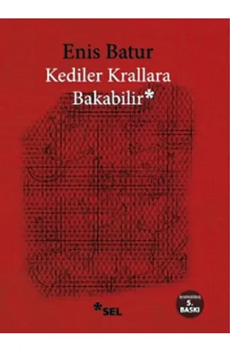 Kediler Krallara Bakabilir