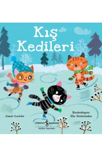Kış Kedileri