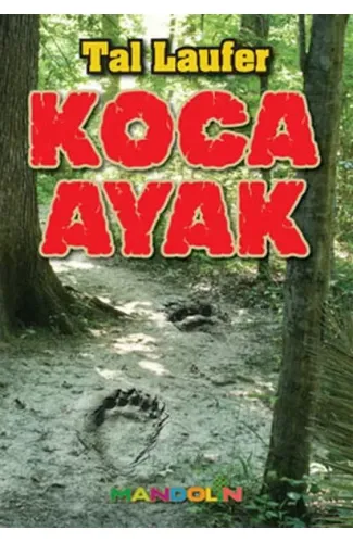 Koca Ayak