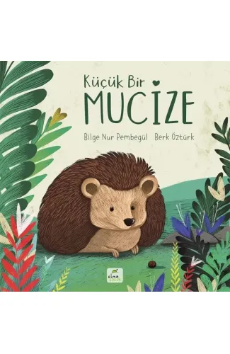 Küçük Bir Mucize