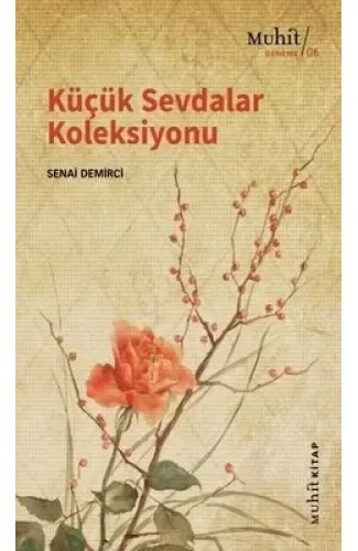 Küçük Sevdalar Koleksiyonu