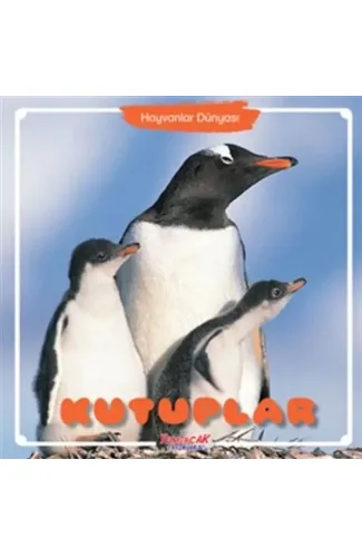 Kutuplar - Hayvanlar Dünyası