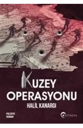 Kuzey Operasyonu