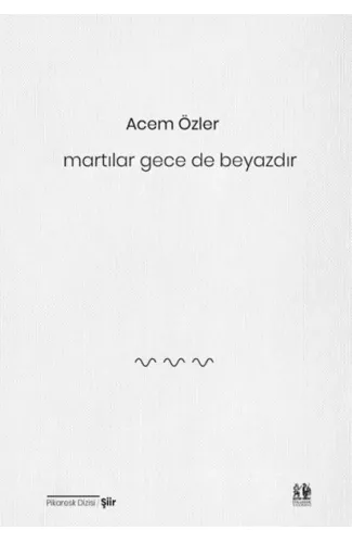 Martılar Gece de Beyazdır