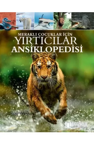 Meraklı Çocuklar İçin Yırtıcılar Ansiklopedisi