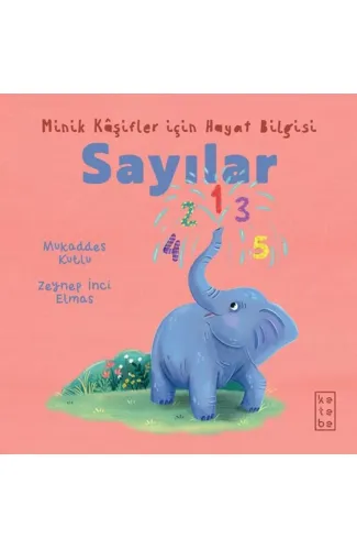 Minik Kâşifler için Hayat Bilgisi - Sayılar