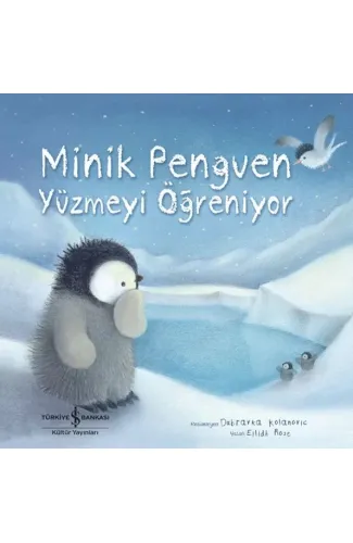 Minik Penguen Yüzmeyi Öğreniyor