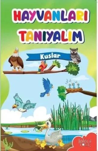 Muhteşem Çizimler ve Kolay Anlatım ile Hayvanları Tanıyalım Kuşlar